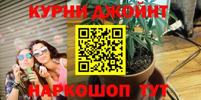 гидропоника Ярославль