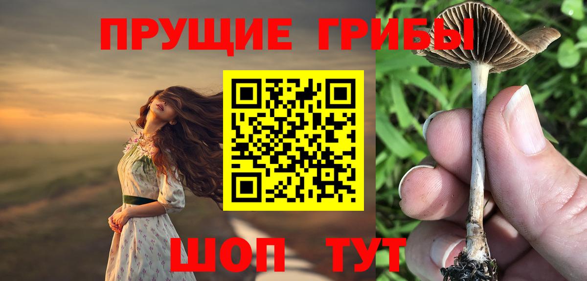 Псилоцибиновые грибы Magic Shrooms Ступино