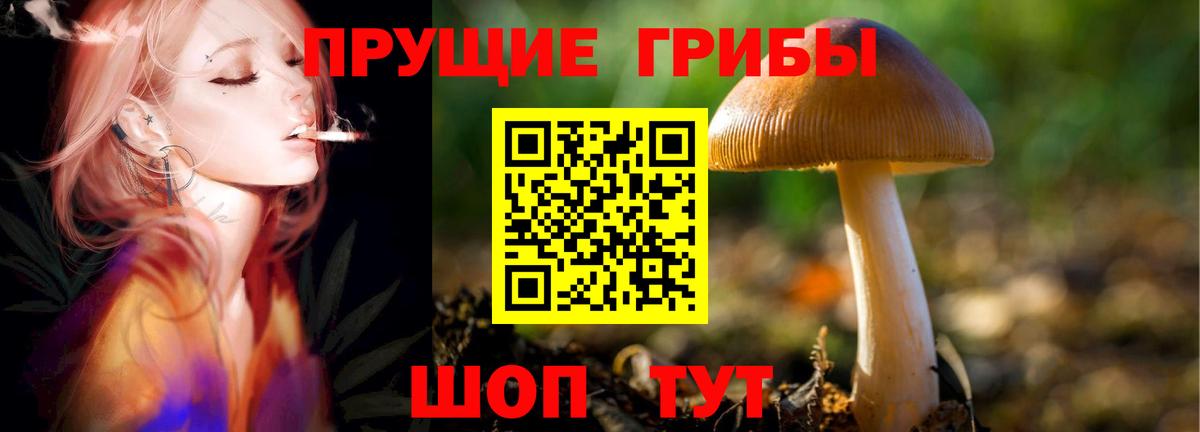 Ступино  Галлюциногенные грибы ЛСД  купить  цена  Вход с VPN 